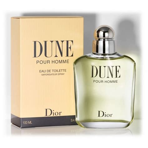 christian dior dune pour homme 100ml|Christian Dior dune perfume review.